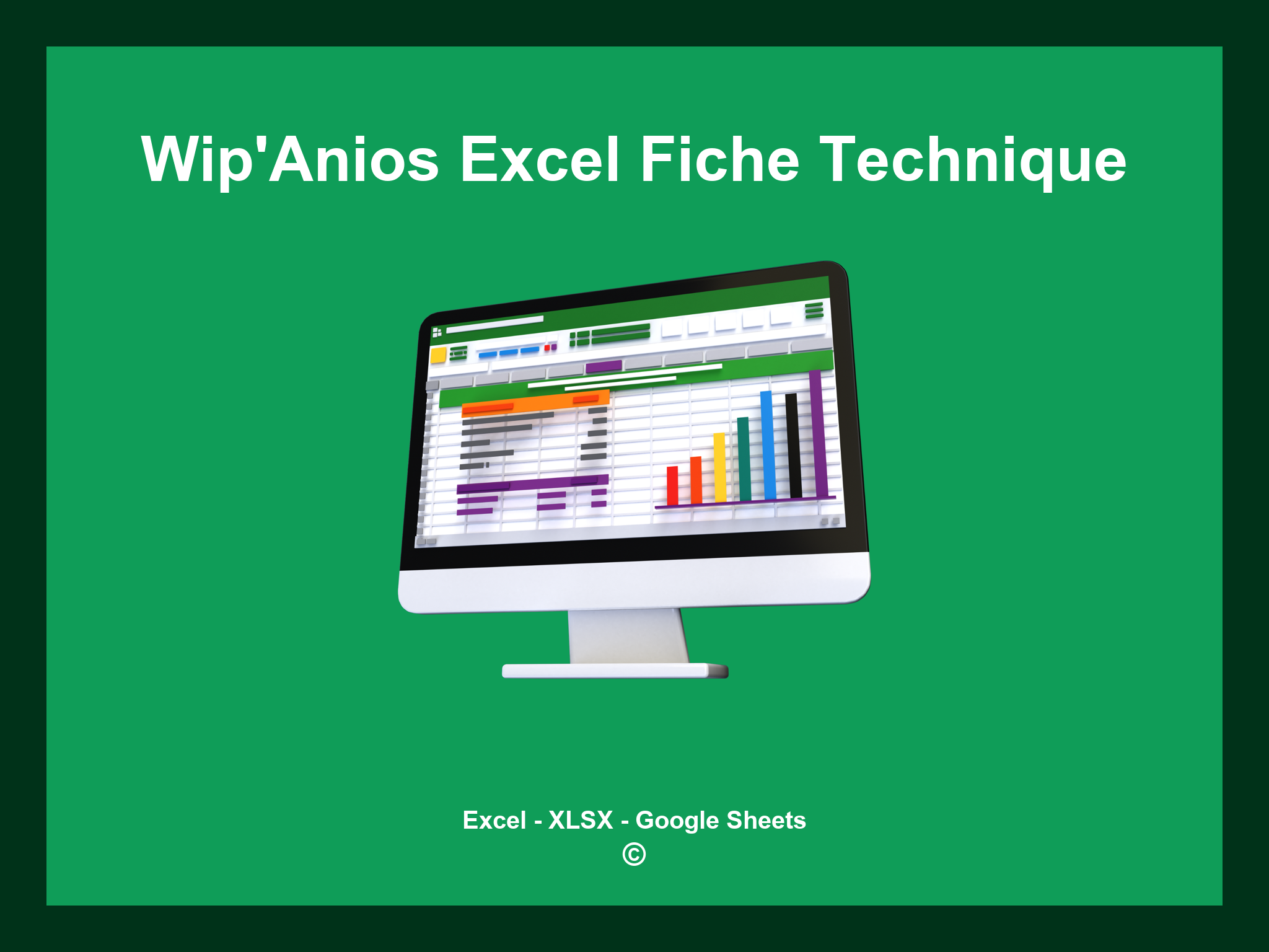 Wip'Anios Excel Fiche Technique